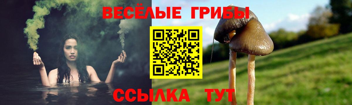 Псилоцибиновые грибы GOLDEN TEACHER  Вход с VPN  Комсомольск-на-Амуре 